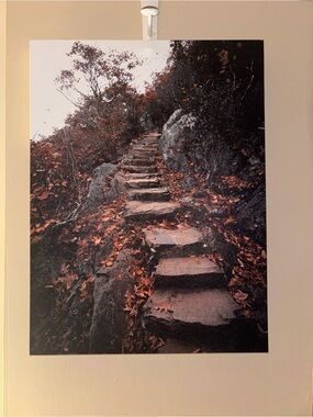 Autumn Stone Steps Wall Art Print in Brown and Black 18x24